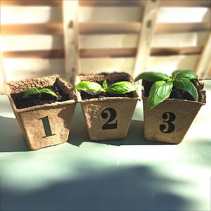 Formation CNV Module 1, 2 et 3