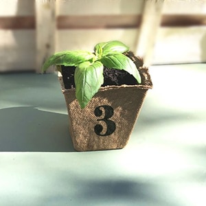 formation-cnv-module-3 Formation CNV Module 3