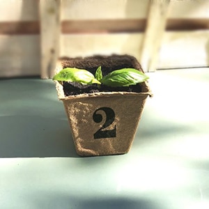 Formation CNV Module 2